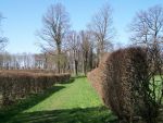12-Apostel.jpg