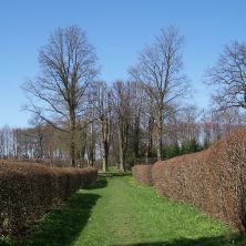 Apostel im Winter